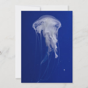 Einladung Postkarte 5" x 7"