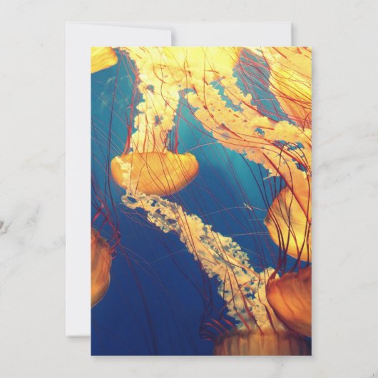 Einladung Postkarte 5" x 7" (Rückseite)