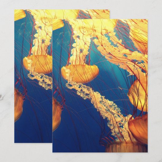 Einladung Postkarte 5" x 7" (Vorne/Hinten)