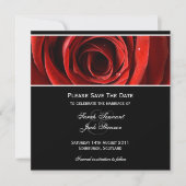 Einladung Save the Date Rote Rose (Vorderseite)