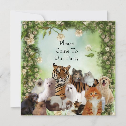Einladung Tiger Hunde Katzen Party (Vorderseite)