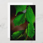 Einladung von Almond Tree Blätter (Vorne/Hinten)