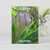 Einladung von Angel Fish (Stehend Vorderseite)