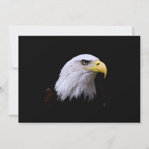 Einladung von Bald Eagle