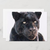 Einladung von Black Jaguar (Vorne/Hinten)