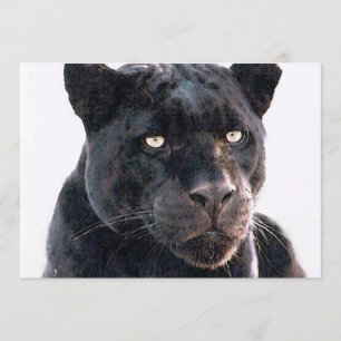 Einladung von Black Jaguar
