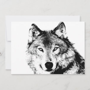 Einladung von Black & White Wolf