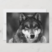 Einladung von Black & White Wolf (Vorderseite)