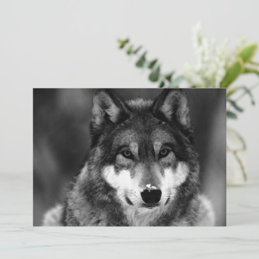 Einladung von Black & White Wolf (Stehend Vorderseite)
