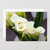 Einladung von calla lily (Vorne/Hinten)