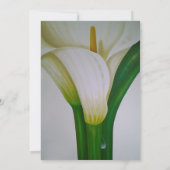 Einladung von Calla Lily Floral Wedding (Rückseite)