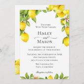 Einladung von Citrus Orchard (Vorne/Hinten)