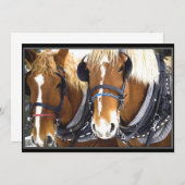 Einladung von Clydesdale (Vorne/Hinten)