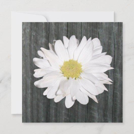 Einladung von Daisy & Barnwood (Rückseite)