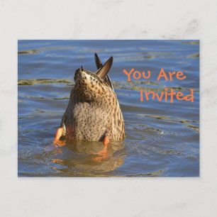 Einladung von Dunking Duck