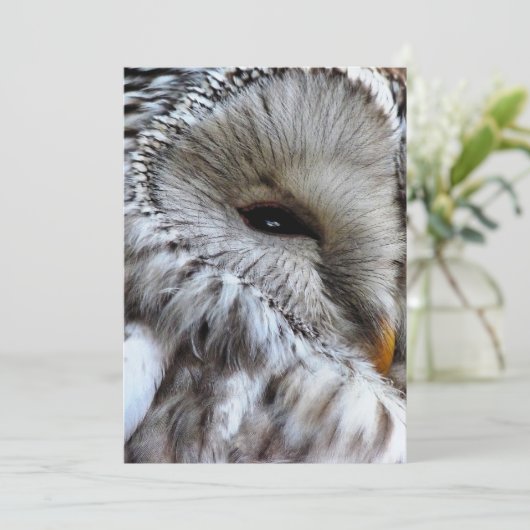 EINLADUNG VON EIGENSCHAFTEN (Stehend Vorderseite)