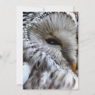 EINLADUNG VON EIGENSCHAFTEN