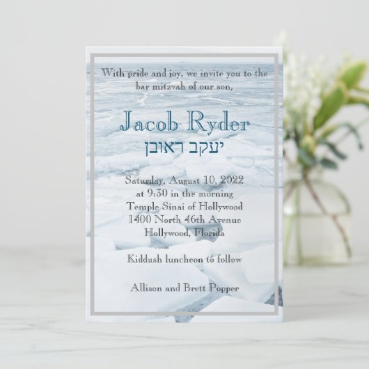 Einladung von Eisschollen (Stehend Vorderseite)