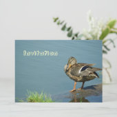 Einladung von Enten (Stehend Vorderseite)
