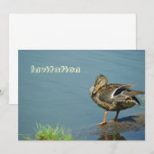 Einladung von Enten (Vorne/Hinten)