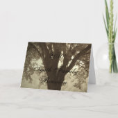 Einladung von Family Tree Wiedersehen (Vorderseite)