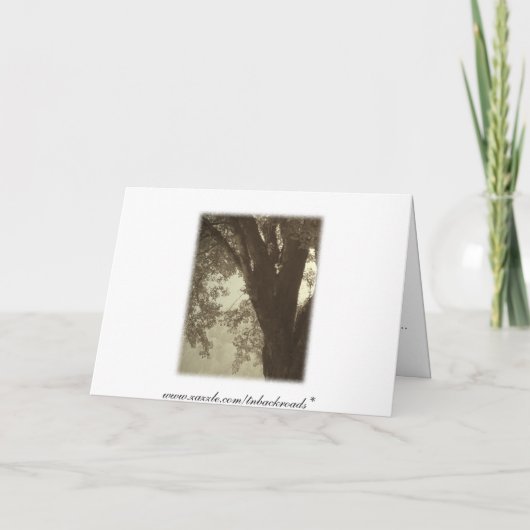 Einladung von Family Tree Wiedersehen (Rückseite)