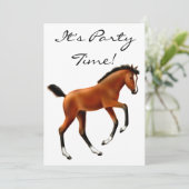 Einladung von Frisky Bay Foal (Stehend Vorderseite)