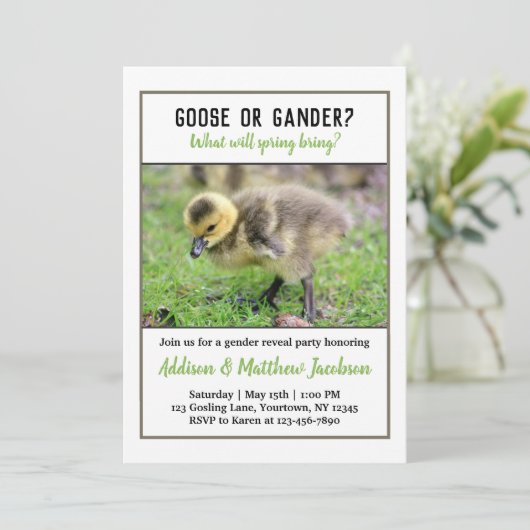 Einladung von Gänseschwamm (Stehend Vorderseite)