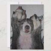 Einladung von Great Dane zum Geburtstag (Rückseite)