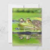 Einladung von Grünem Frosch (Vorderseite)