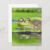 Einladung von Grünem Frosch (Vorne/Hinten)