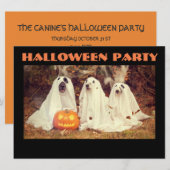 EINLADUNG VON Halloween-Party, HUNDE ALS GHOSTEN (Vorne/Hinten)
