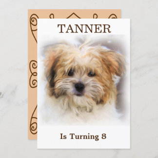 Einladung von Haustieren zum Geburtstag