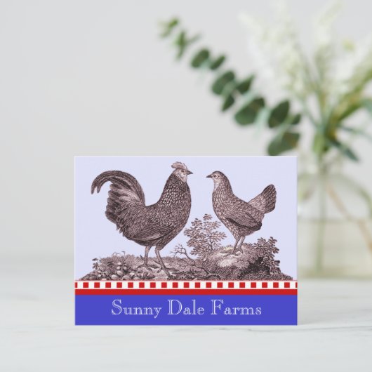 Einladung von Hühnern zum Picnic, Farmermarkt, B (Stehend Vorderseite)