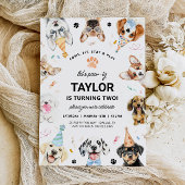 Einladung von Hund, Junge Welpe Hund zum Geburtsta