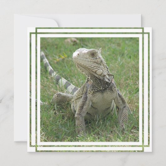 Einladung von Iguana (Vorderseite)