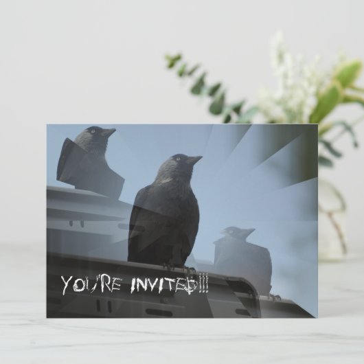 Einladung von Jackdaw Bird (Stehend Vorderseite)