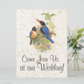 Einladung von Kingfisher Bird Wildlife Animal Wedd (Stehend Vorderseite)