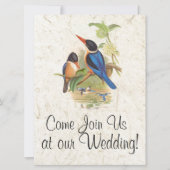Einladung von Kingfisher Bird Wildlife Animal Wedd (Vorderseite)