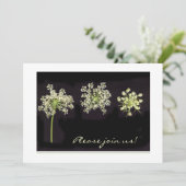 Einladung von Königin Anne zur Spitze (Stehend Vorderseite)