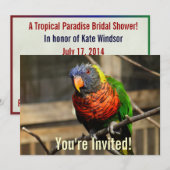 Einladung von Lorikeet Parakeet (Vorne/Hinten)