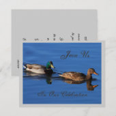 Einladung von Mallard Couple (Vorne/Hinten)