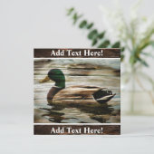 Einladung von Mallard Duck (Stehend Vorderseite)