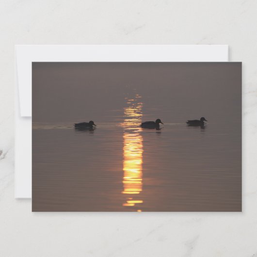 Einladung von Mallards (Vorderseite)