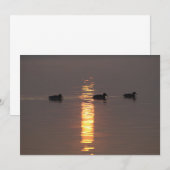 Einladung von Mallards (Vorne/Hinten)