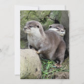 EINLADUNG VON OTTERS (Vorderseite)