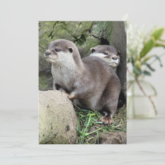 EINLADUNG VON OTTERS (Stehend Vorderseite)