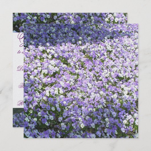 Einladung von Pansy (Vorne/Hinten)