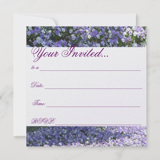 Einladung von Pansy (Rückseite)