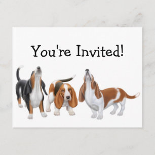 Einladung von Party Bassets